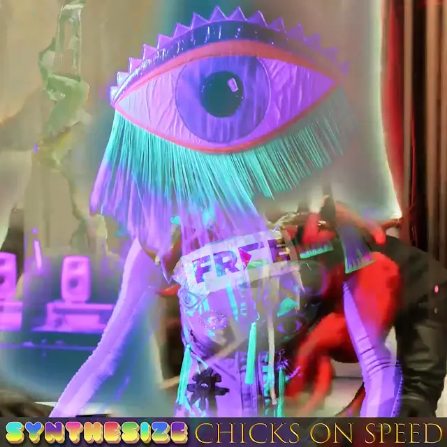 Chicks on Speed - Synthesize