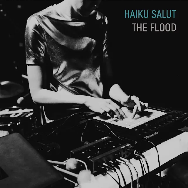 Haiku Salut - The Flood