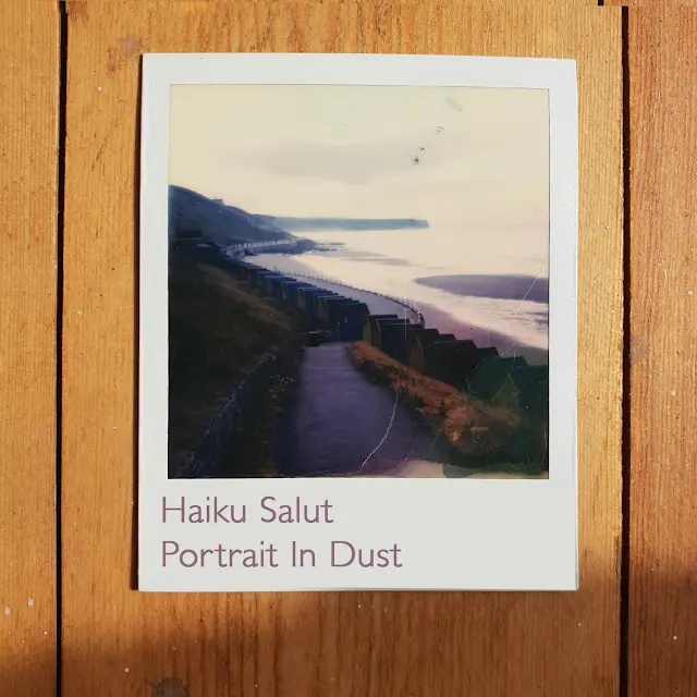 Haiku Salut - Portrait In Dust