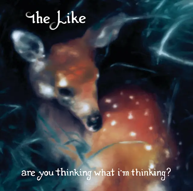 The Like - Are You Thinking What I'm Thinking?
